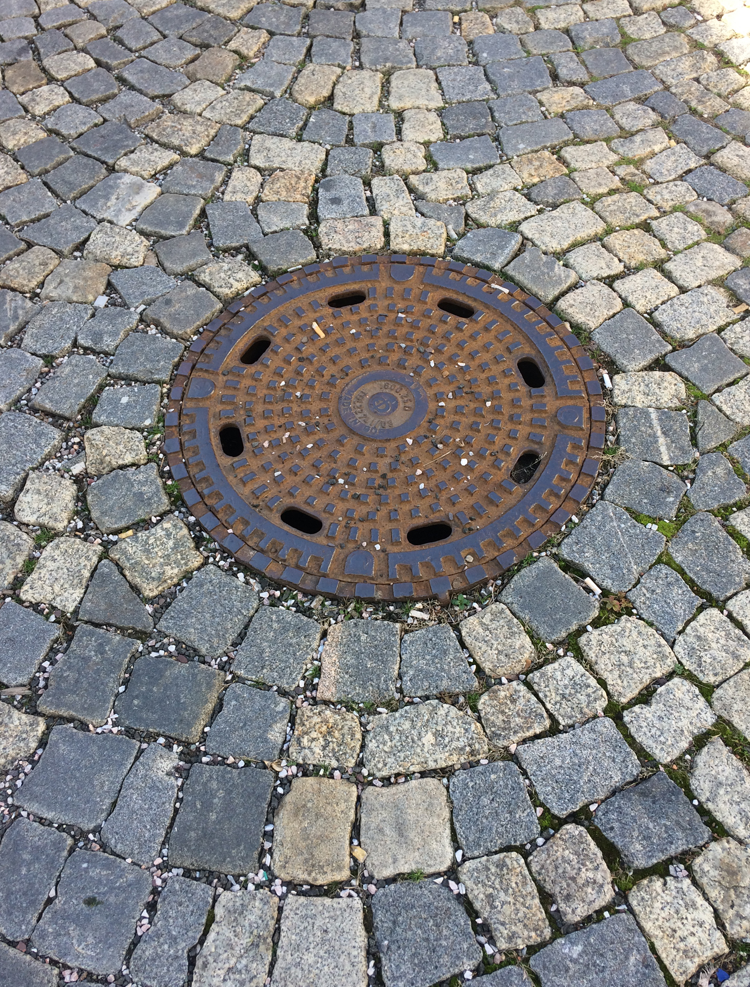 deratizace-2-.jpg
