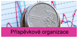 prispevkove-organizace.jpg